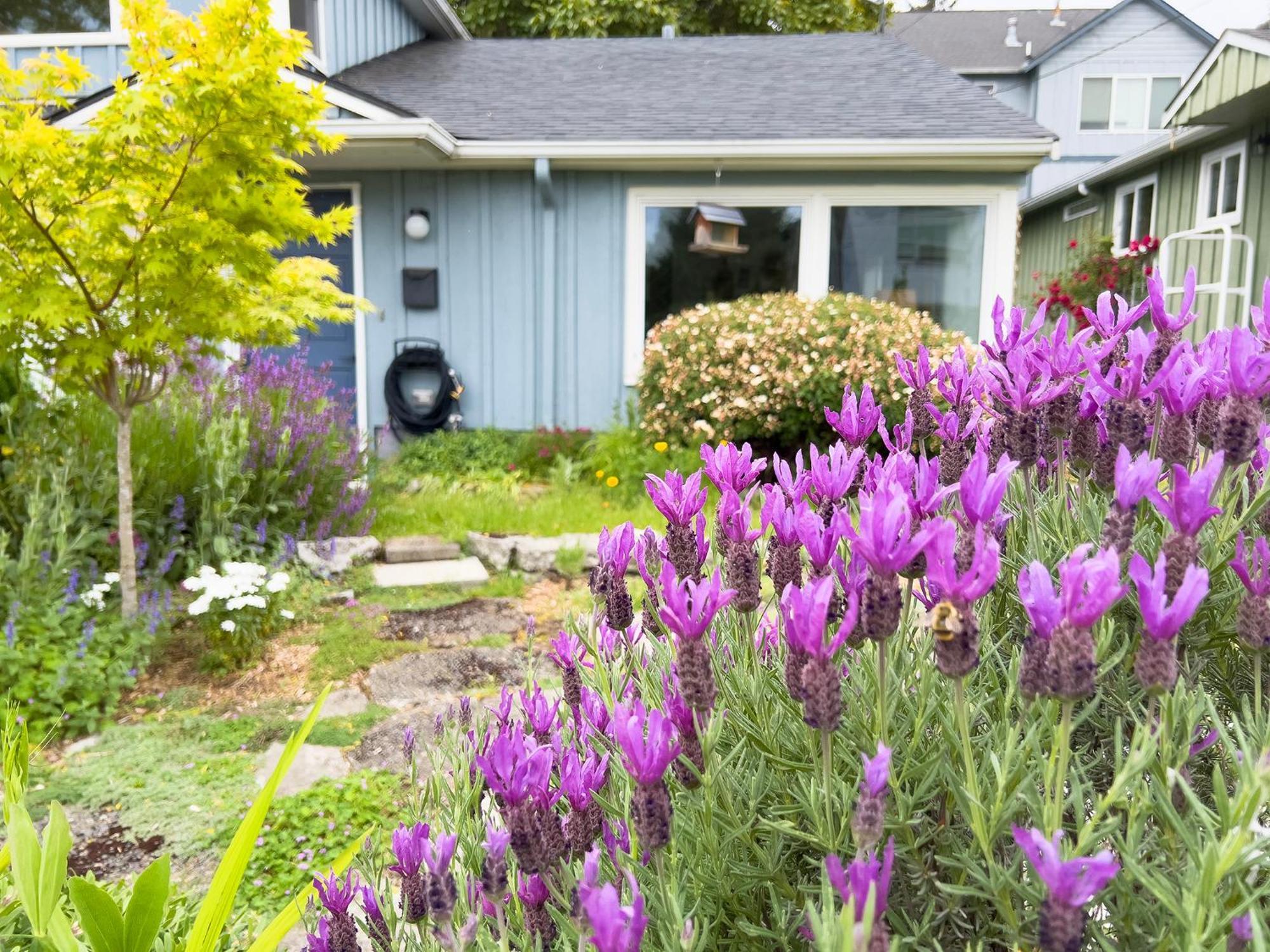 Magnolia Garden Cottage Seattle Eksteriør bilde